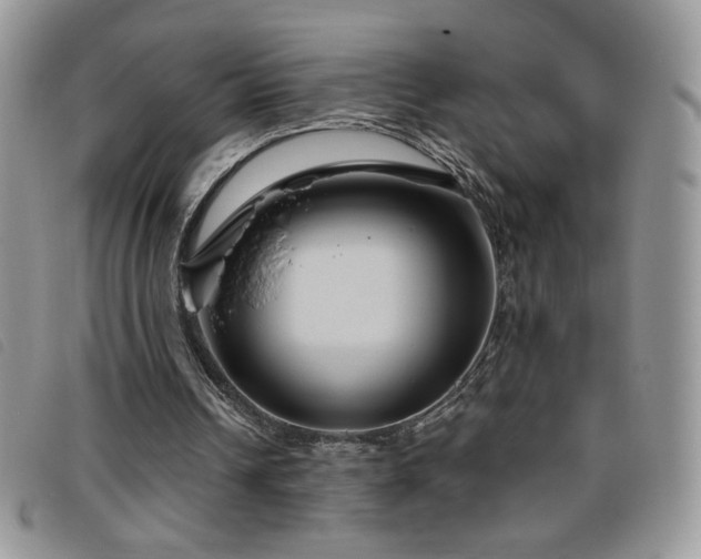 X0000095960242200801111408