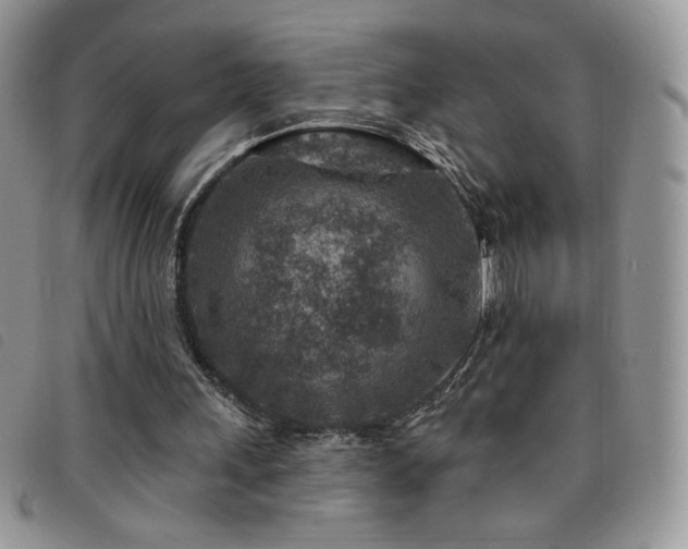 X0000095960243200801111408