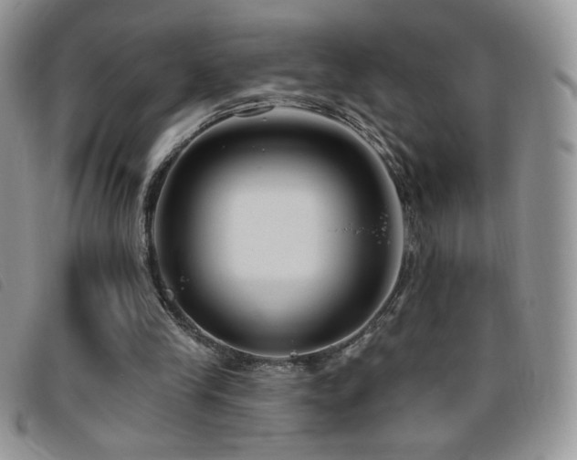 X0000095960245200801111408