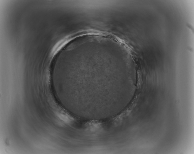 X0000095960247200801111408