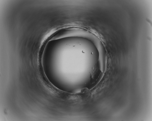 X0000095960248200801111408