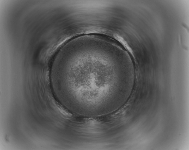 X0000095960249200801111408