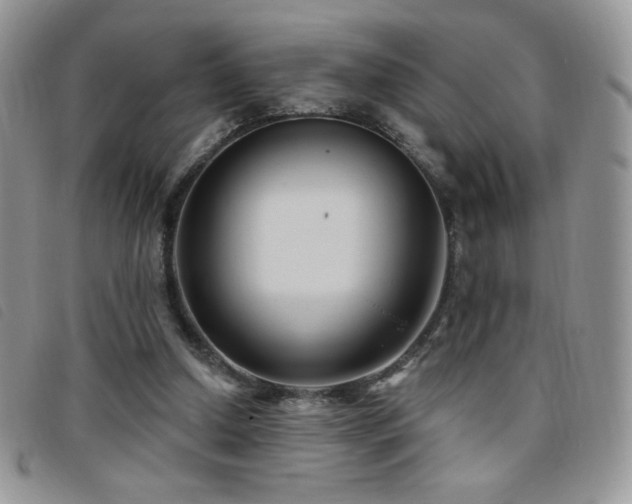 X0000095960250200801111408