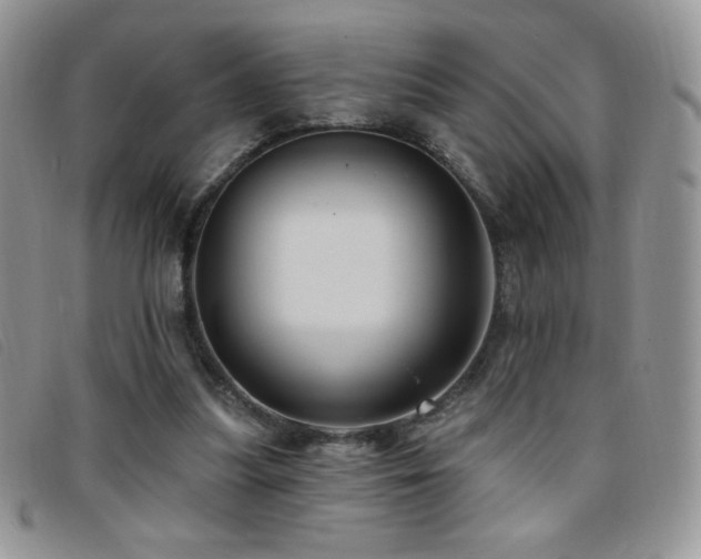 X0000095960251200801111408