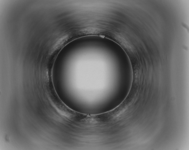 X0000095960254200801111408