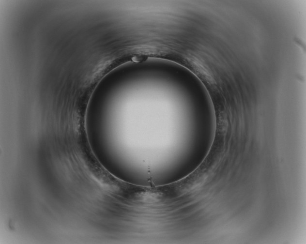 X0000095960255200801111408