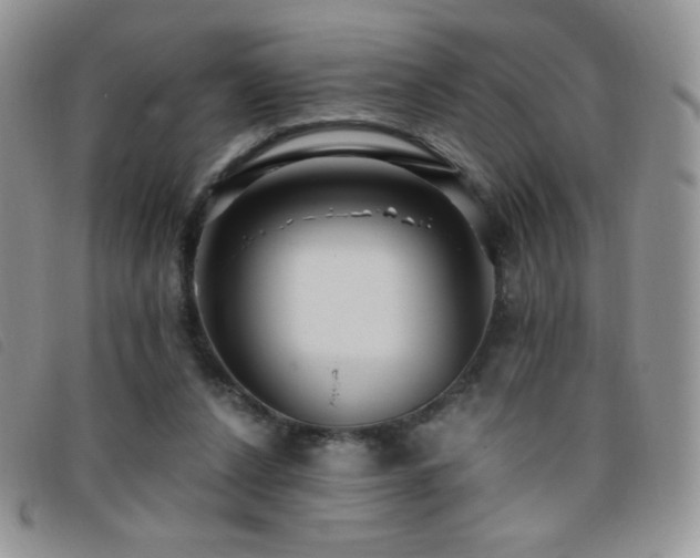 X0000095960256200801111408