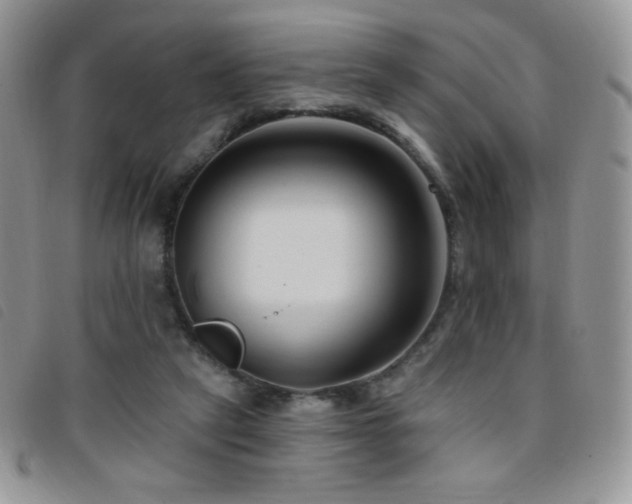 X0000095960257200801111408