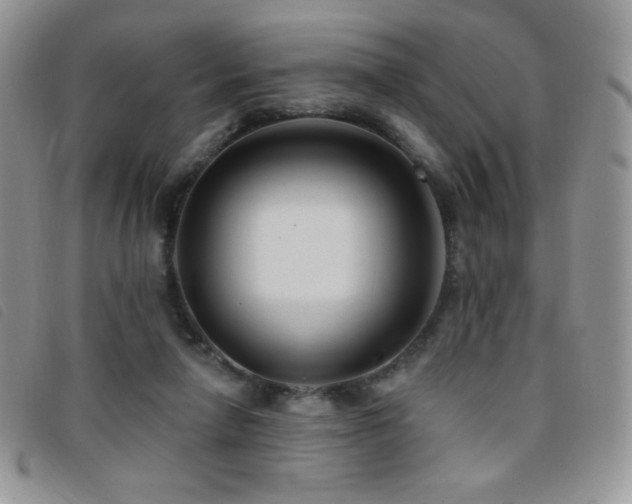 X0000095960258200801111408