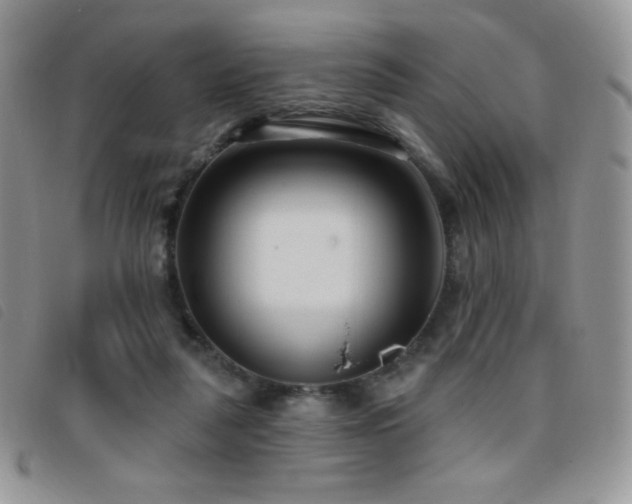 X0000095960259200801111408