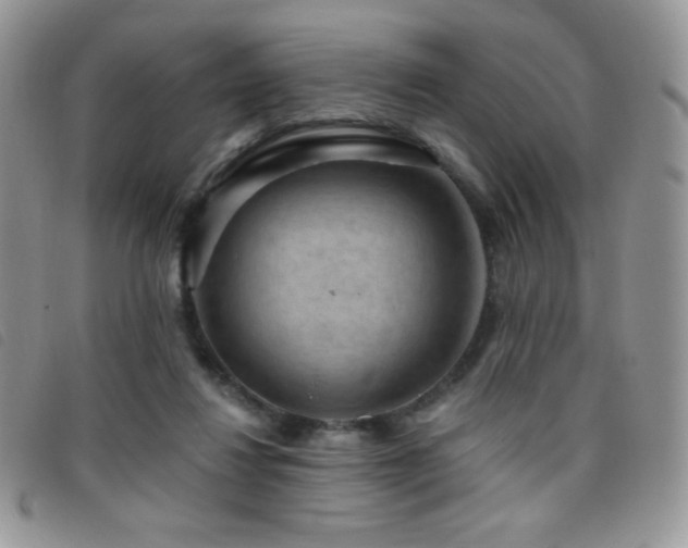 X0000095960260200801111408