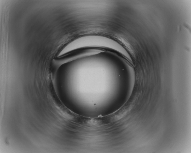 X0000095960261200801111408