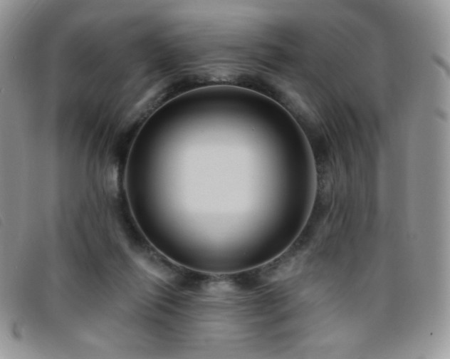 X0000095960262200801111408