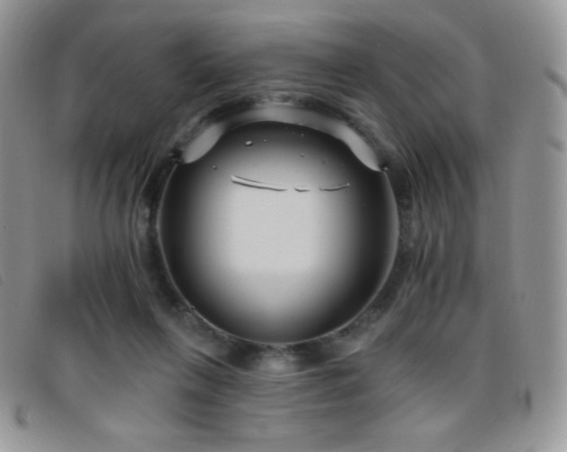 X0000095960263200801111408