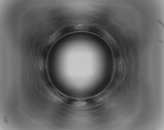 X0000095960266200801111408
