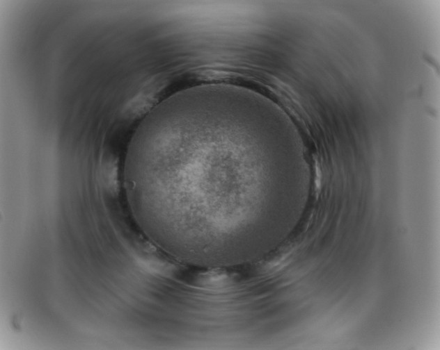 X0000095960267200801111408