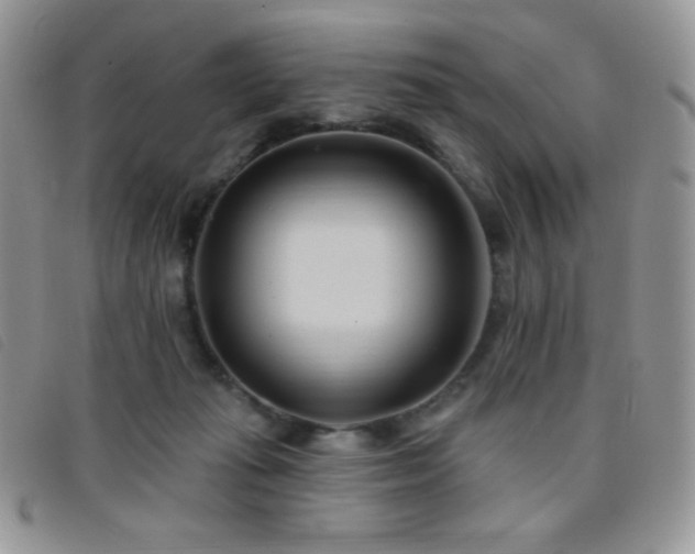 X0000095960269200801111408