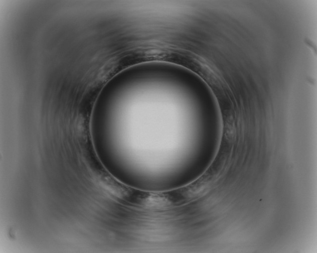 X0000095960270200801111408