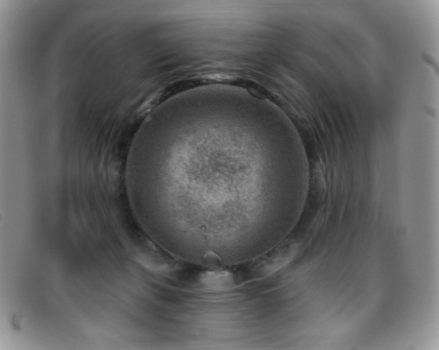 X0000095960271200801111408