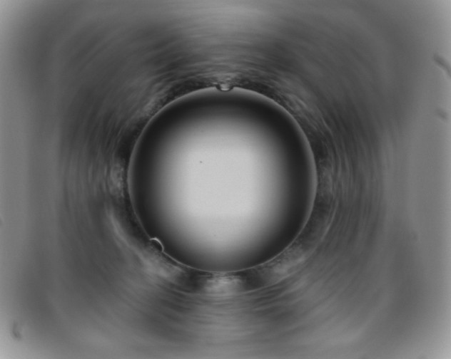 X0000095960274200801111408