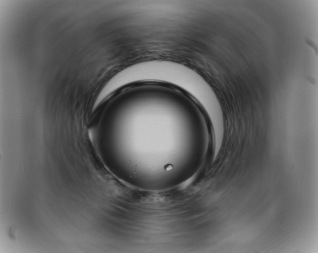 X0000095960276200801111408