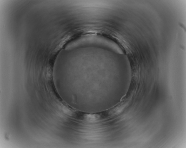 X0000095960277200801111408