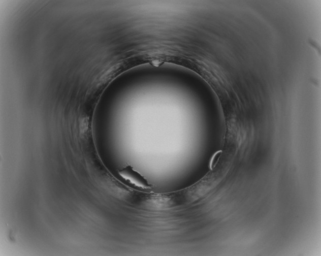 X0000095960278200801111408