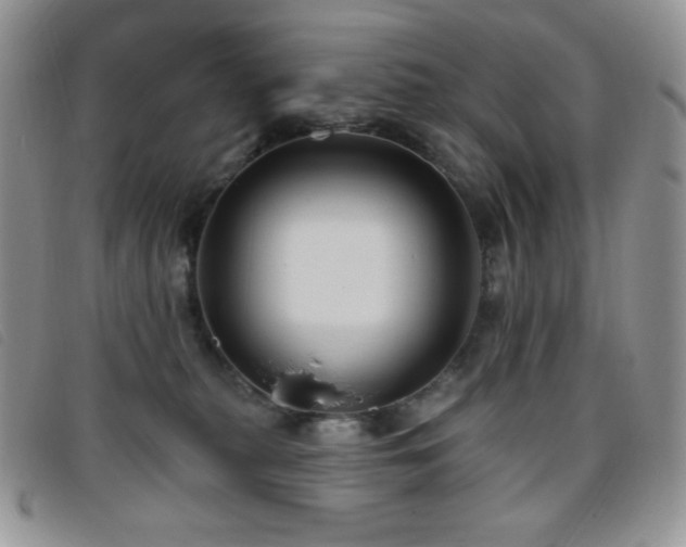 X0000095960279200801111408