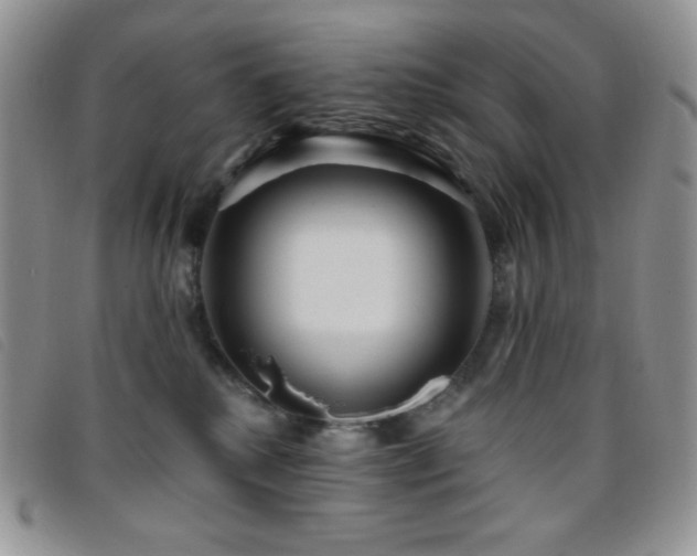 X0000095960280200801111408