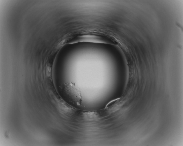 X0000095960281200801111408