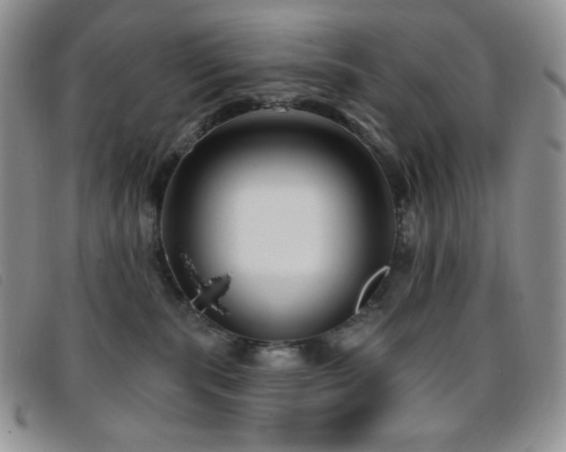 X0000095960283200801111408