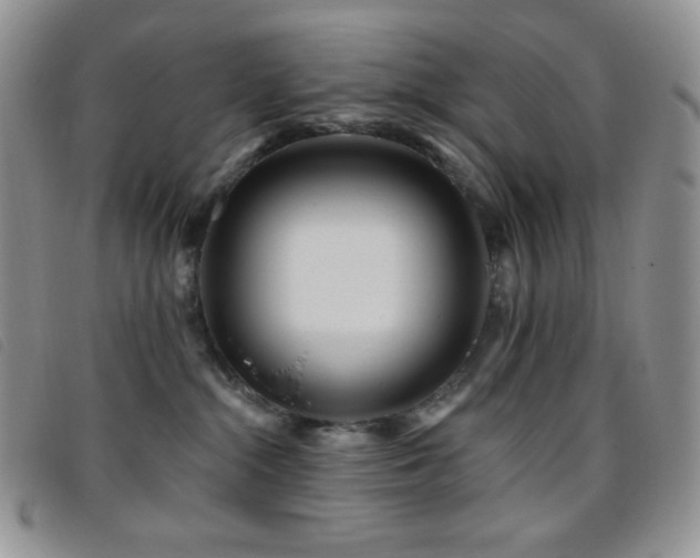 X0000095960284200801111408