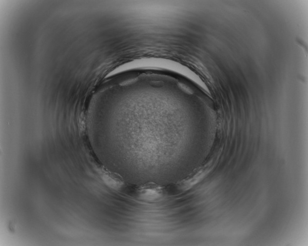 X0000095960285200801111408