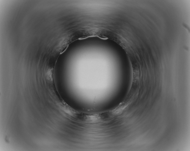 X0000095960286200801111408