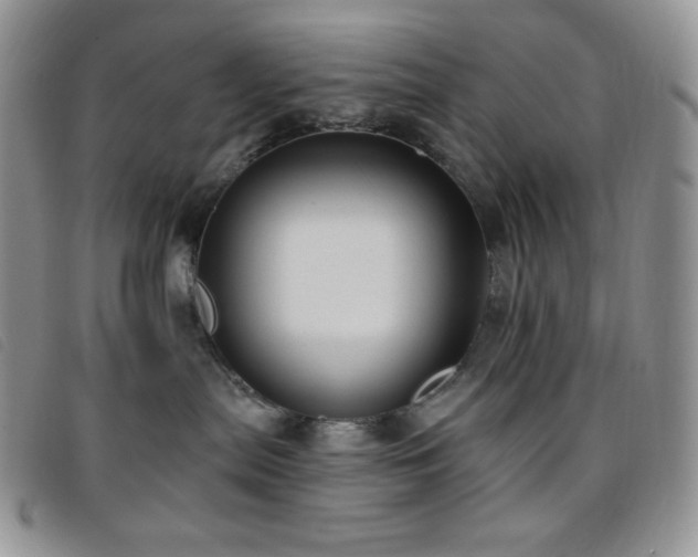 X0000095960287200801111408