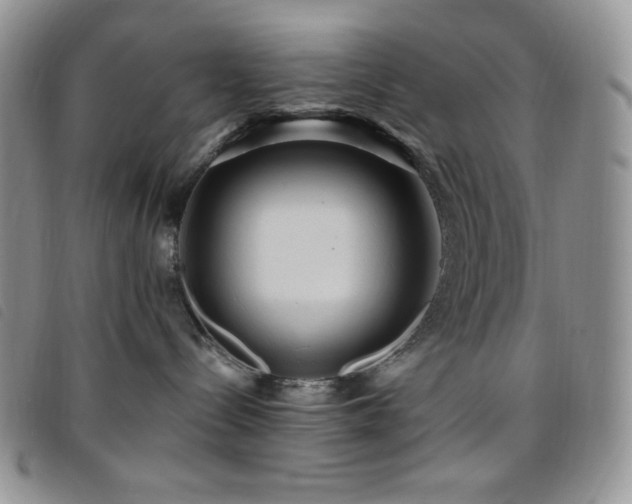 X0000095960288200801111408
