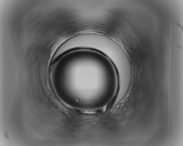 X0000095960289200801111408