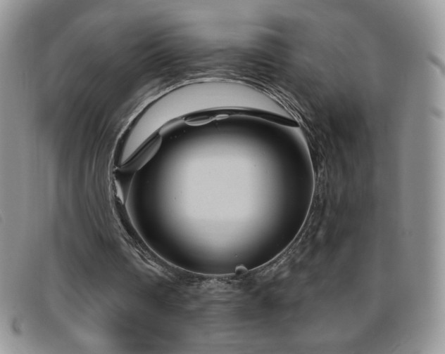 X0000095960290200801111408