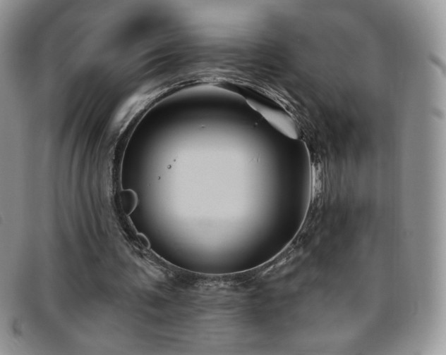 X0000095960291200801111408