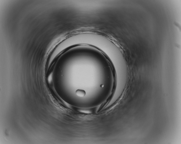 X0000095960293200801111408