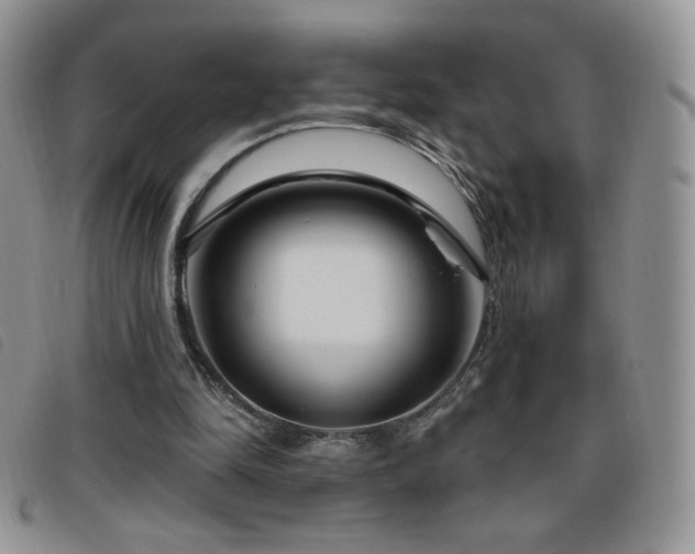 X0000095960294200801111408
