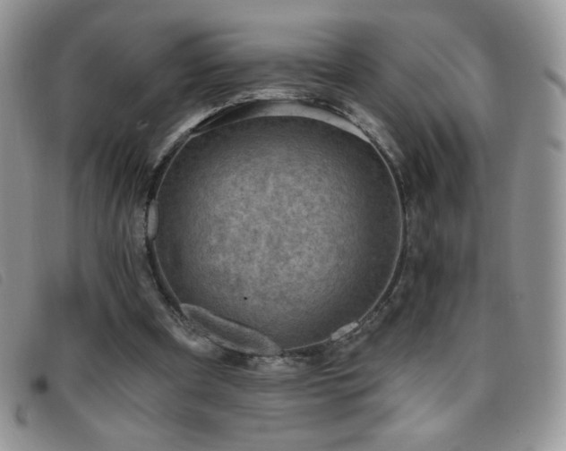 X0000095960297200801111408