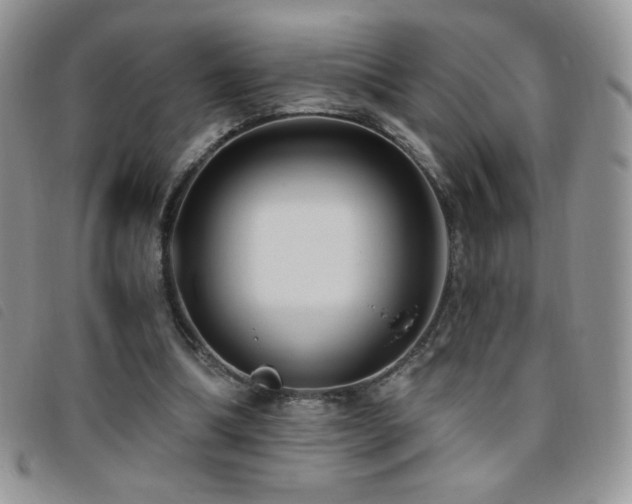 X0000095960298200801111408