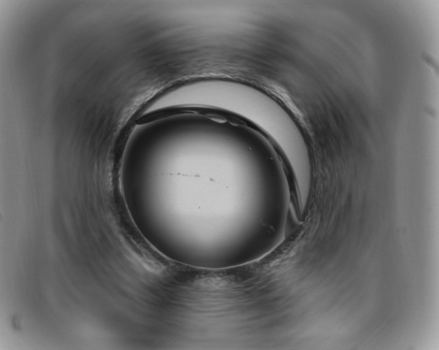 X0000095960299200801111408