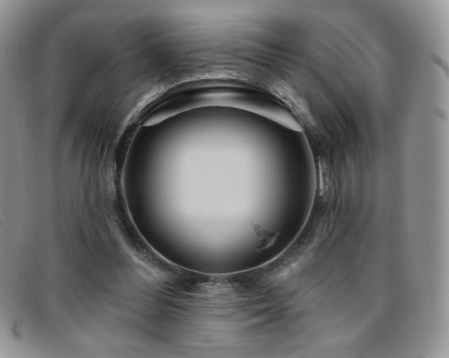 X0000095960300200801111408