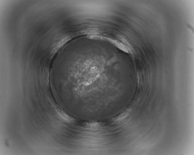 X0000095960301200801111408