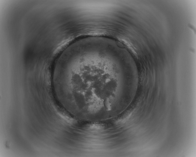 X0000095960303200801111408