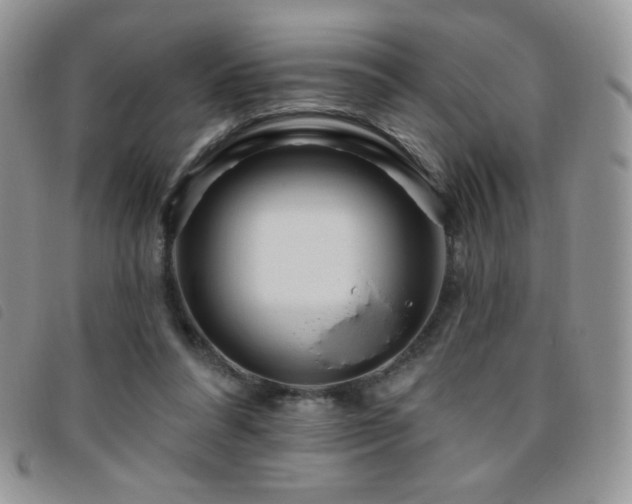 X0000095960304200801111407