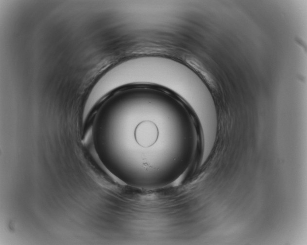 X0000095960309200801111407