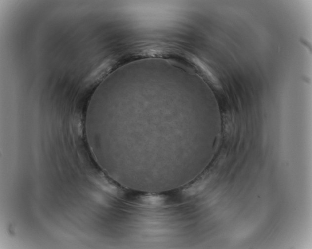 X0000095960313200801111407